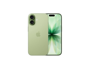 iPhone 17 Sage