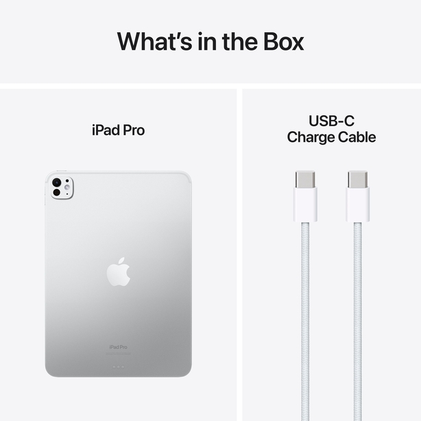 13-inch iPad Pro Wi_Fi 512GB with standard glass-Silver image 4